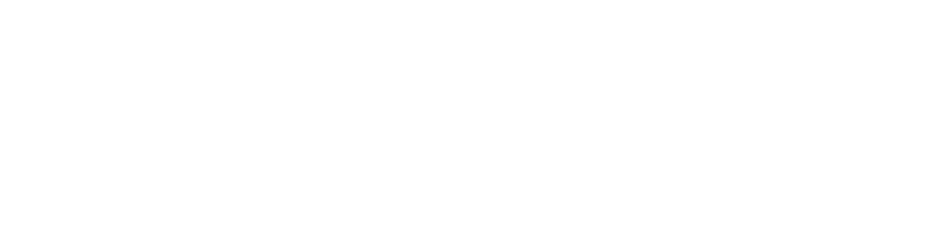 eversec logo